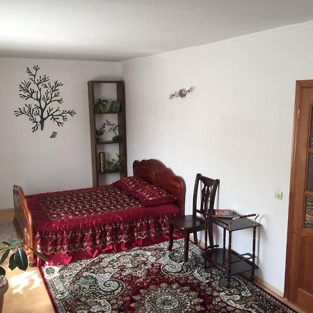 Guest House On Maksimova 9 Almatı Dış mekan fotoğraf