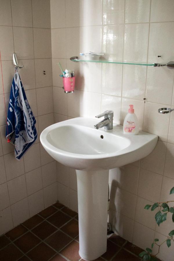 Guest House On Maksimova 9 Almatı Dış mekan fotoğraf